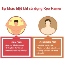 Kẹo sâm Hamer USA hộp 36 viên - Loại 1