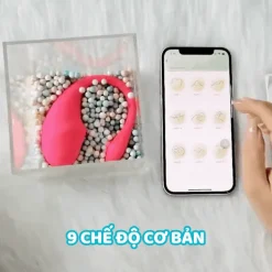 Trứng rung điều khiển từ xa - Xuyên biên giới